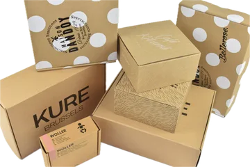 Экспресс-доставка Коробки в Zwijnaarde BE